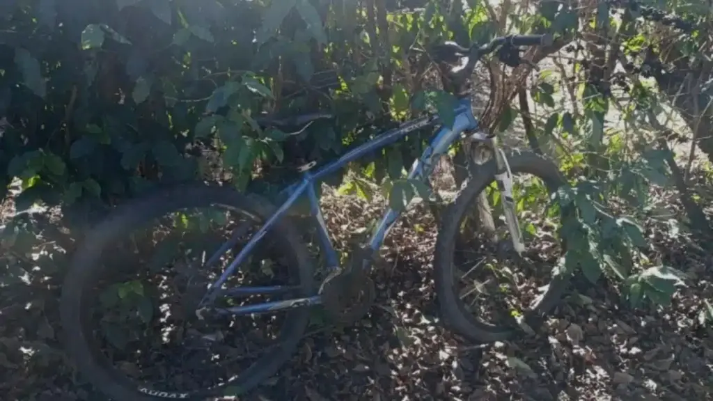 bicicleta-de-jovem-desaparecido-em-parque-estadual-e-encontrada-durante-as-buscas